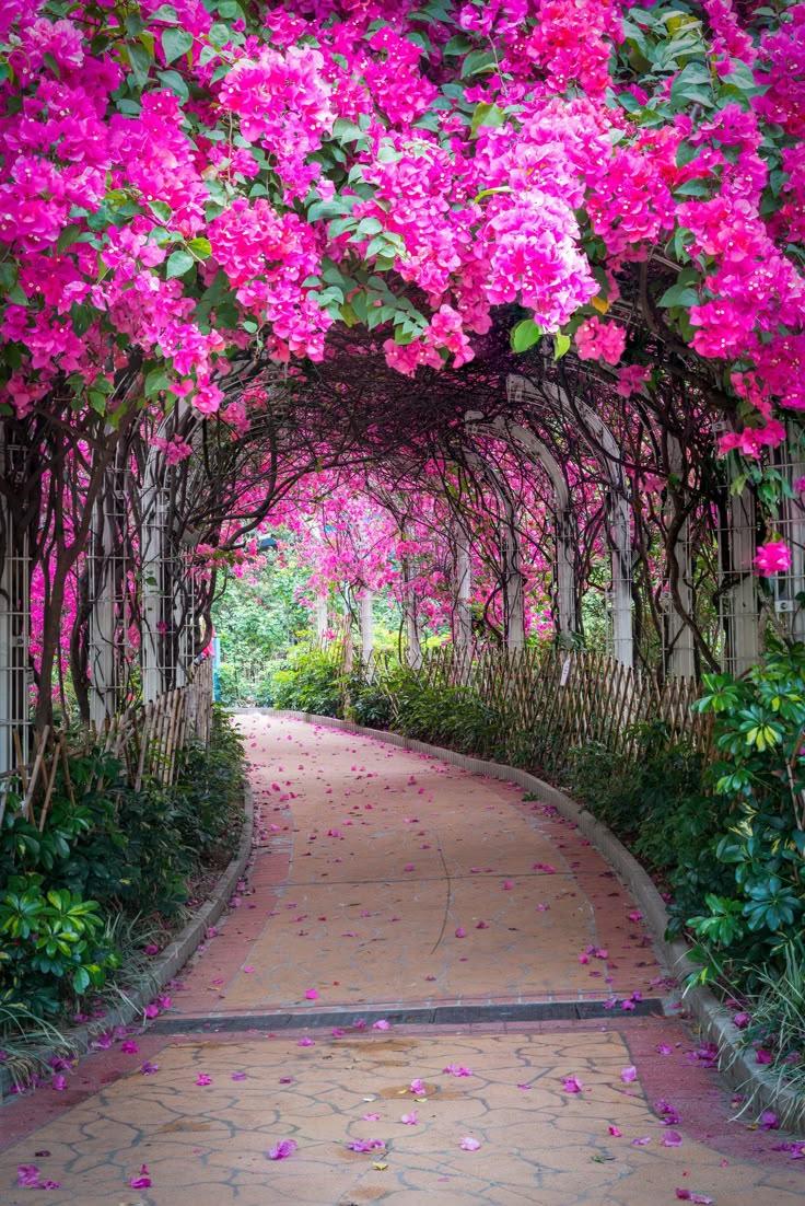 Eternal Grace Sophisticated Flora Mix